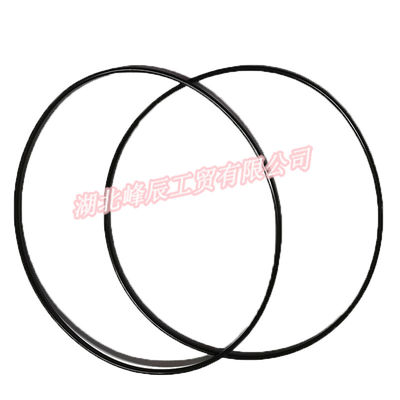 Auto Parts Used for Dongfeng Kinland Cummins Engine Rectangular Seal Ring,C3907177