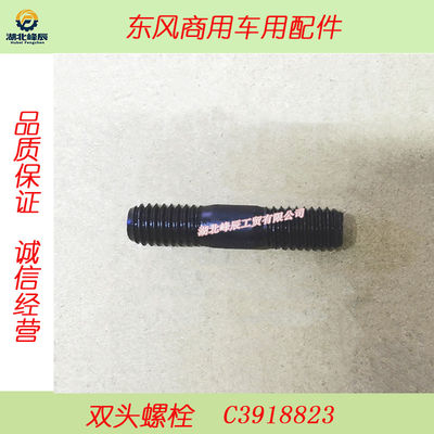 Auto Parts Used for Dongfeng/Dcec Kinland Cummins Motor--Double Ending Bolt  C3918823