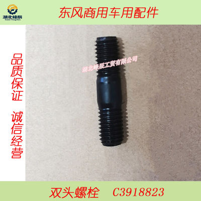 Auto Parts Used for Dongfeng/Dcec Kinland Cummins Motor--Double Ending Bolt  C3918823