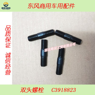 Auto Parts Used for Dongfeng/Dcec Kinland Cummins Motor--Double Ending Bolt  C3918823