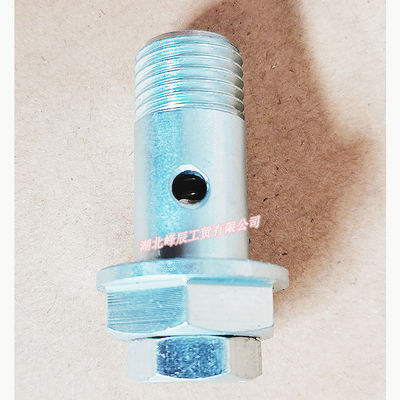 Dongfeng/Dcec Kinland  Engine Parts Auto parts for Truck Outtake Valve Screw